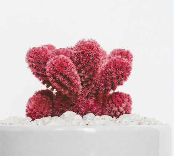 网站ddos隐藏源ip