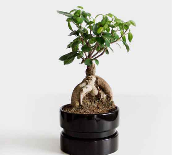 攻击网站服务器