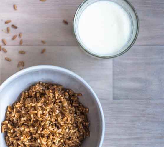 网页攻击器教程